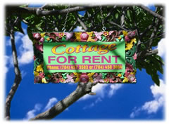 Cottage for rent on Bequia