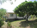 rear of house w/mango tree