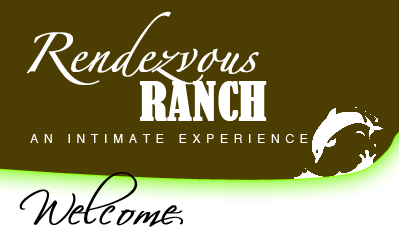 Bequia's Rendezvous Ranch villa